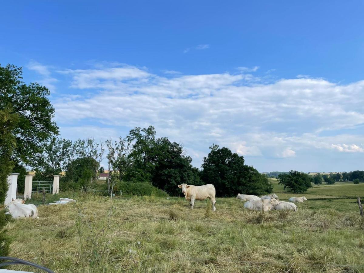 Gite De La Combe Ganat 3 Etoiles Sanvignes-les-Mines エクステリア 写真